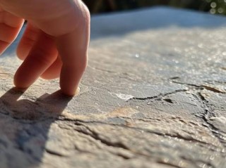 入户防盗门白门套选购指南