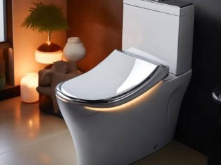 智能马桶Moen体验：舒适生活新选择